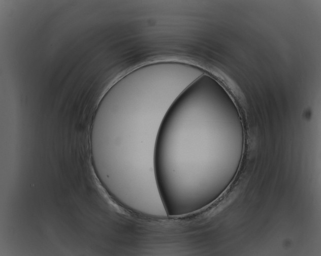 X0000097850993200803140852