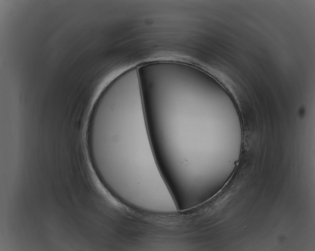 X0000097850995200803140852