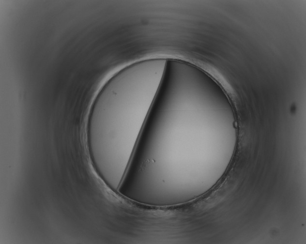 X0000097850996200803140852