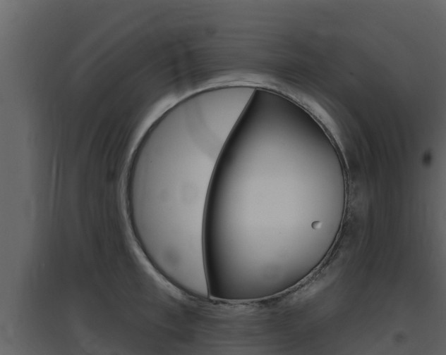X0000097850997200803140852