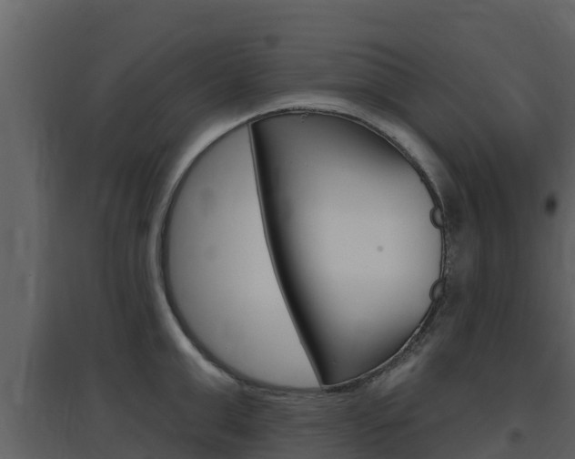 X0000097850999200803140852