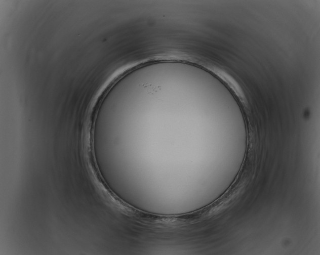 X0000097851000200803140852