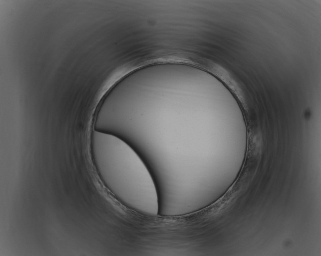 X0000097851002200803140852