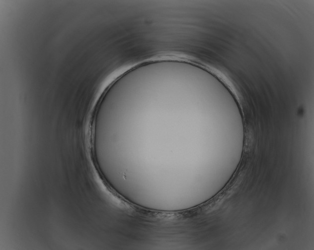 X0000097851003200803140852