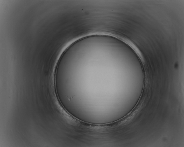 X0000097851004200803140852