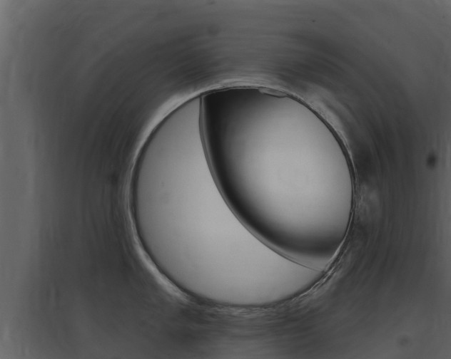X0000097851005200803140852