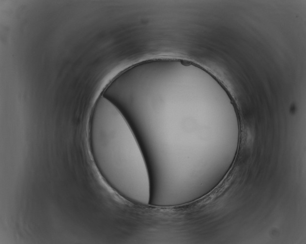 X0000097851006200803140852