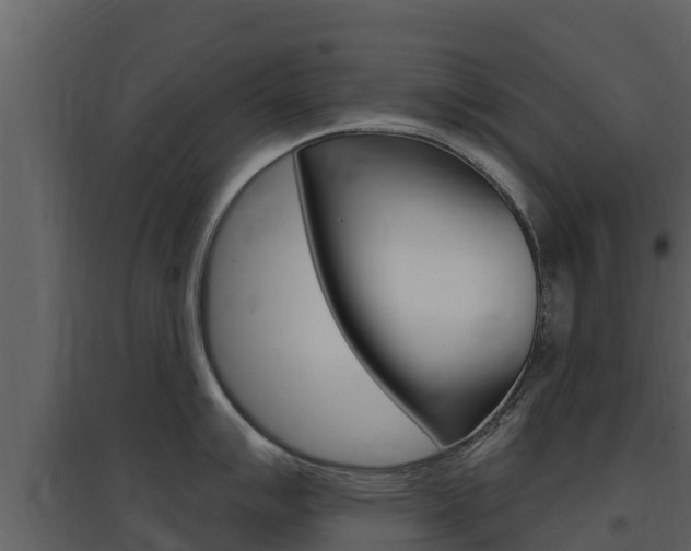 X0000097851007200803140852