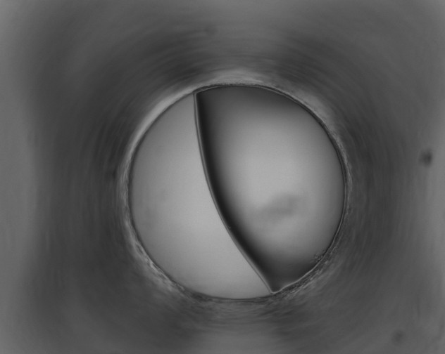 X0000097851008200803140852