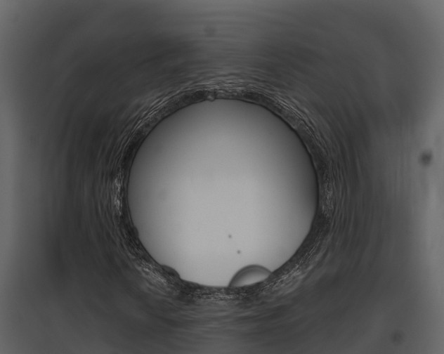 X0000097851010200803140852