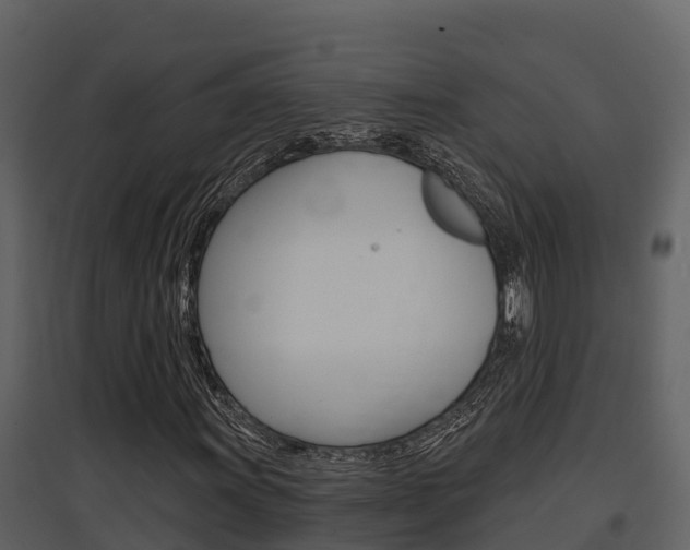 X0000097851011200803140852