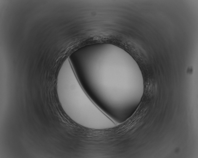 X0000097851012200803140852