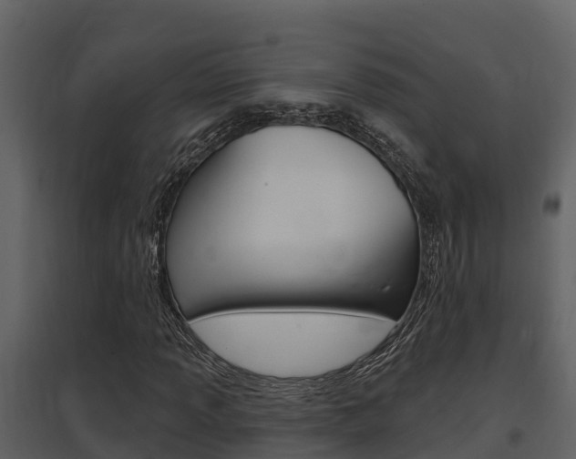 X0000097851013200803140852