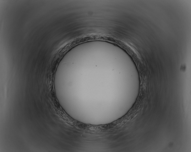 X0000097851015200803140852
