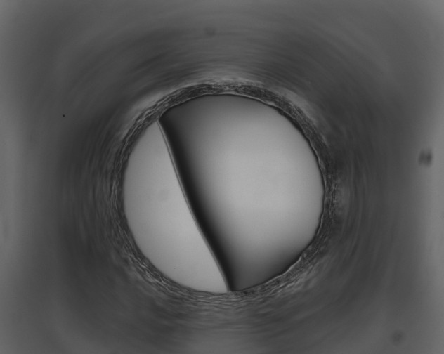 X0000097851016200803140852