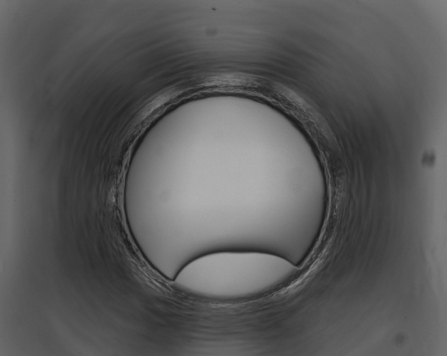 X0000097851017200803140852