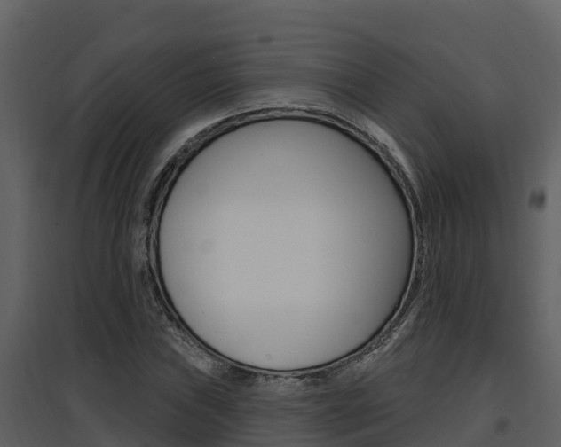 X0000097851019200803140852