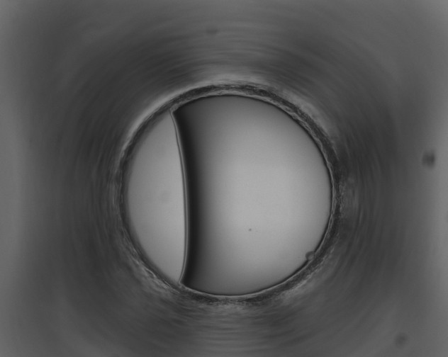 X0000097851021200803140852