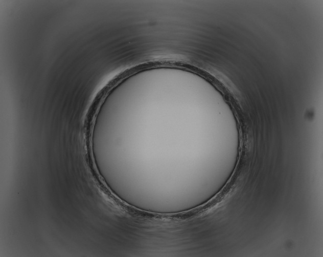 X0000097851022200803140852