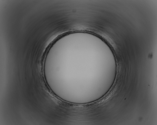 X0000097851023200803140852