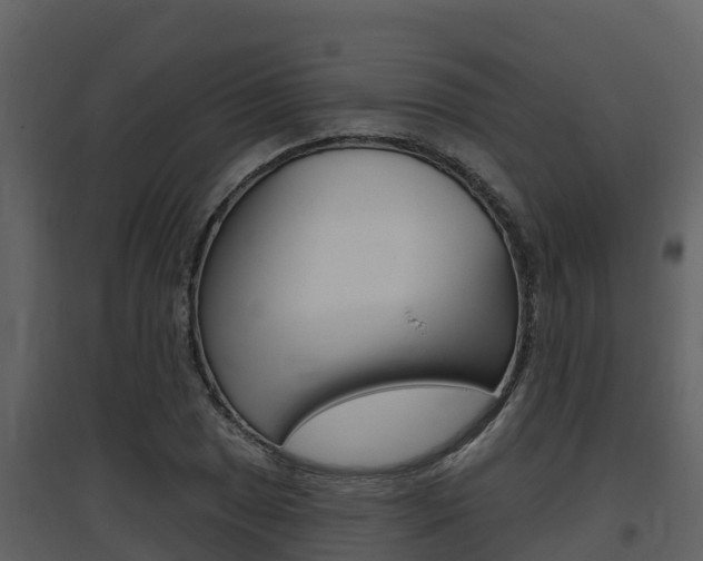 X0000097851025200803140852
