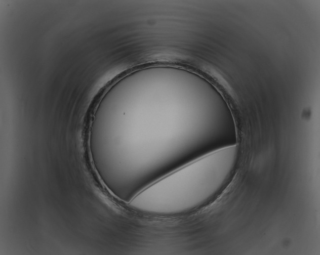 X0000097851026200803140852