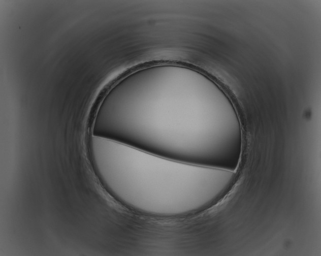 X0000097851029200803140852