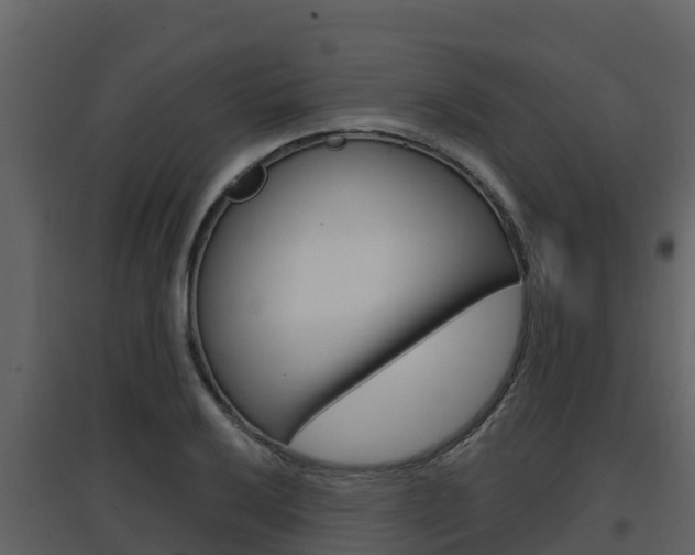 X0000097851032200803140852