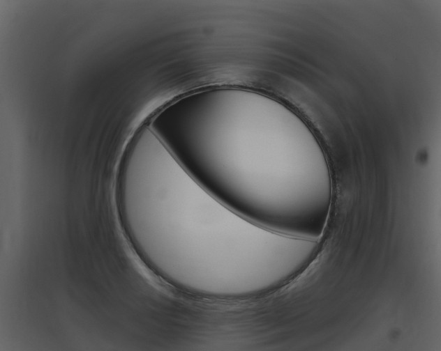 X0000097851034200803140852