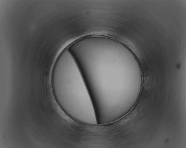 X0000097851036200803140852