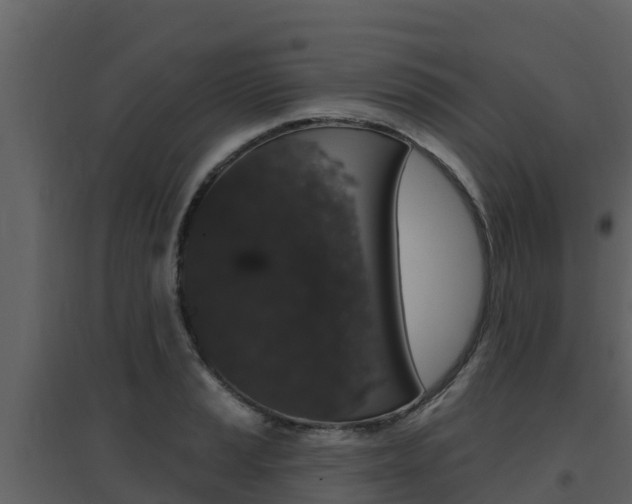 X0000097851037200803140852