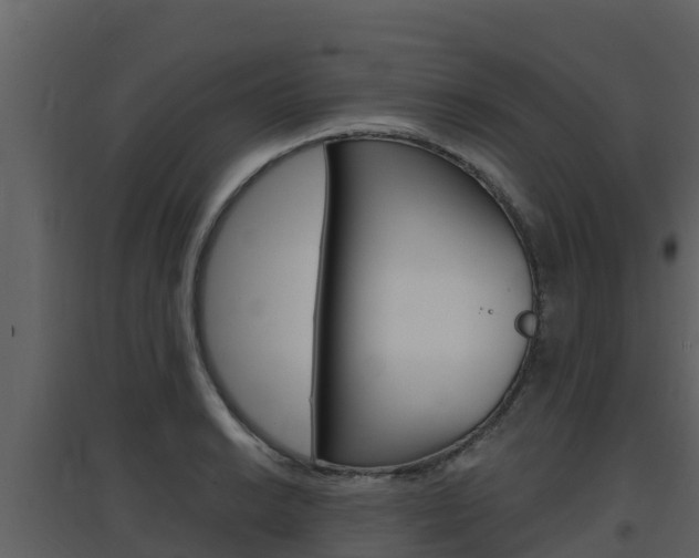 X0000097851038200803140852