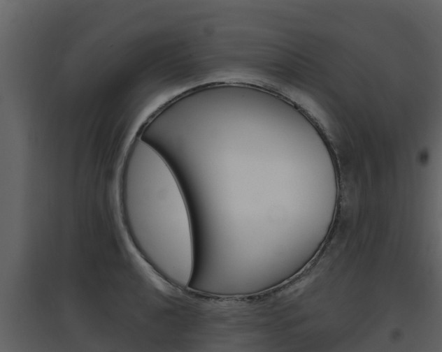 X0000097851040200803140852