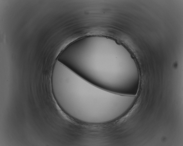 X0000097851041200803140852