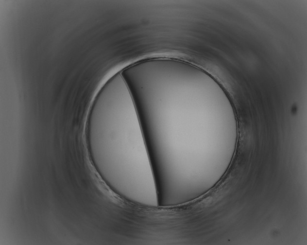 X0000097851044200803140852