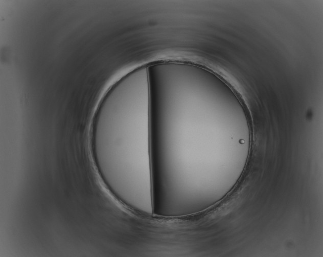 X0000097851045200803140852