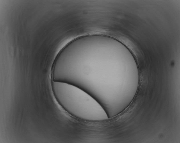 X0000097851047200803140852