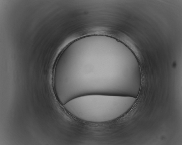 X0000097851051200803140852