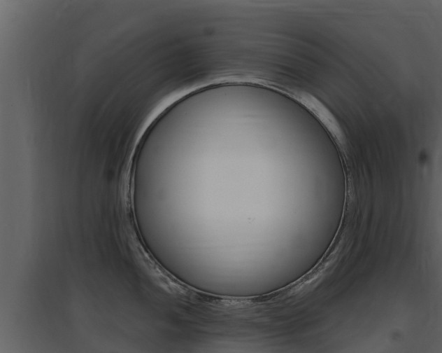 X0000097851052200803140852