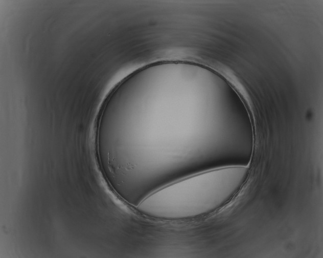 X0000097851053200803140852