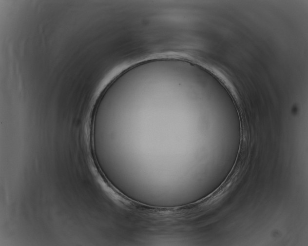 X0000097851054200803140852