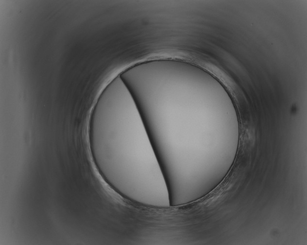 X0000097851055200803140852