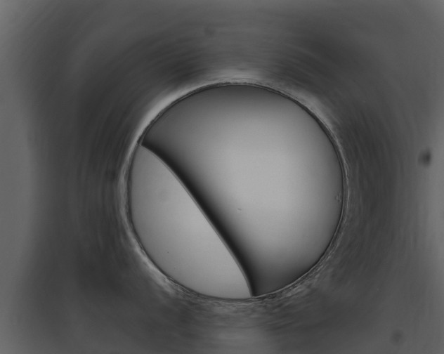 X0000097851056200803140852
