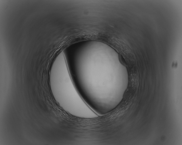 X0000097851057200803140852