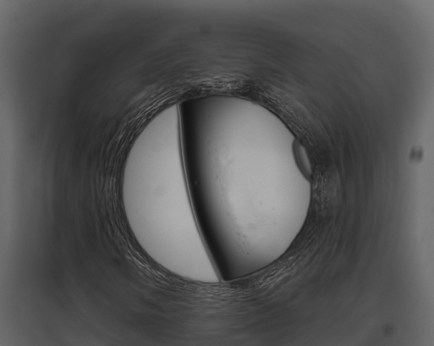 X0000097851058200803140852