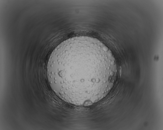 X0000097851059200803140852