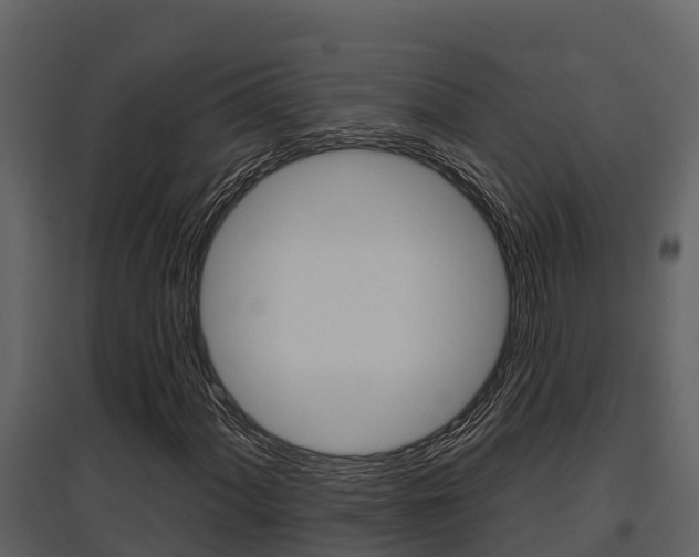 X0000097851060200803140852
