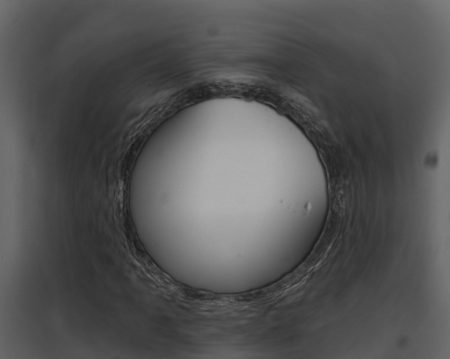 X0000097851061200803140852