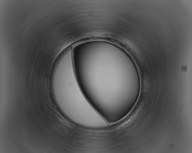 X0000097851065200803140851