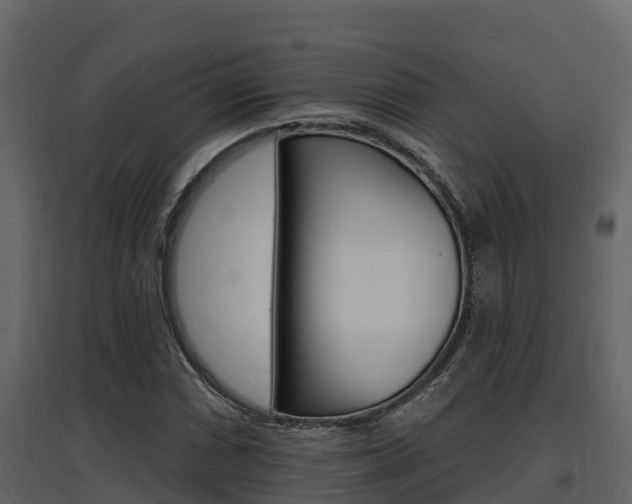 X0000097851066200803140851